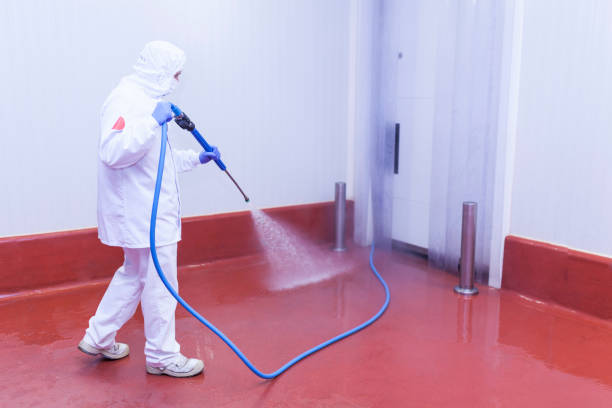 Pre-Holiday Cleaning in Tinton Falls, NJ